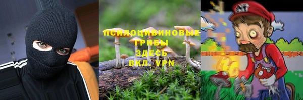 apvp Богданович