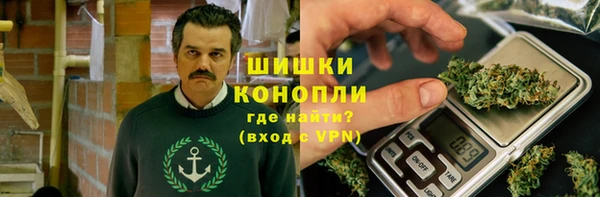 apvp Богданович