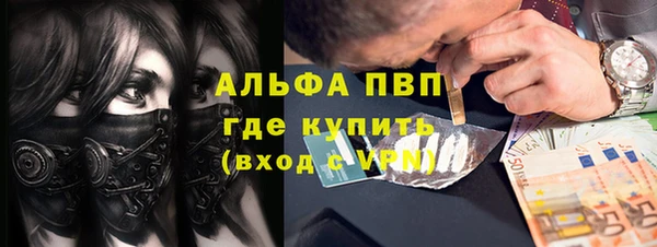 apvp Богданович